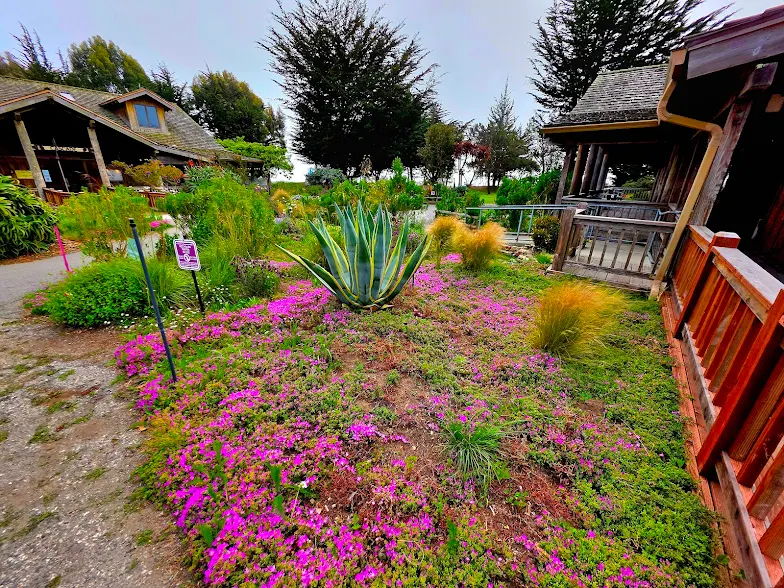 Family Resorts in Northern California