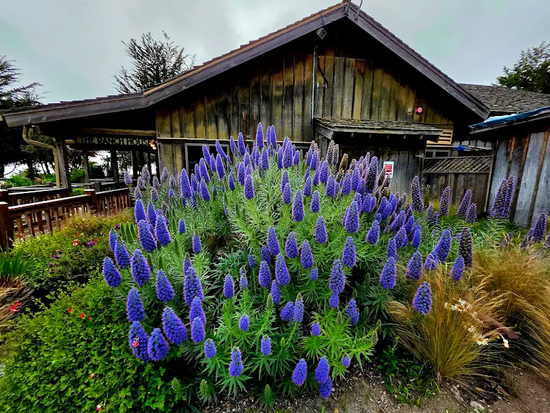 Family Resorts in Northern California