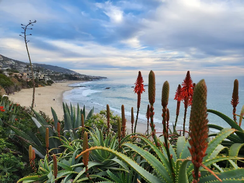 family resorts in Southern Californi