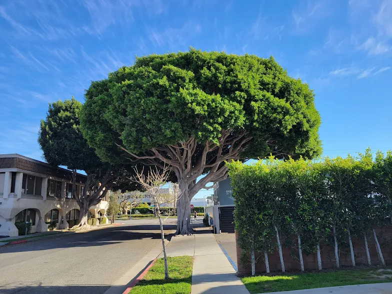 Top Family Resorts in California