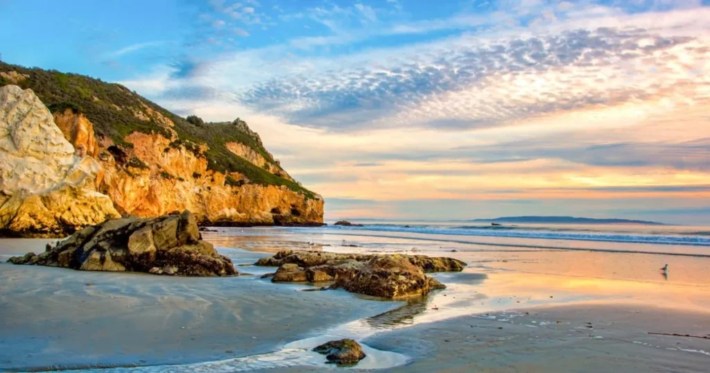where to Go in December