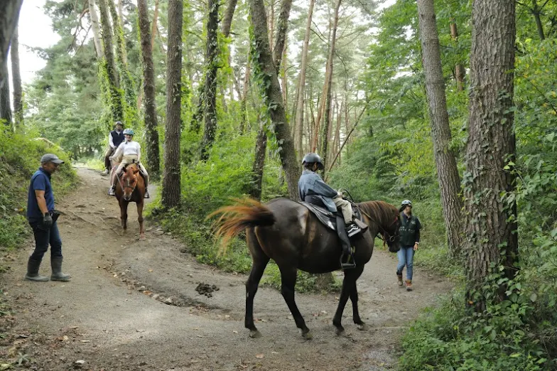 best resorts in Japan for families