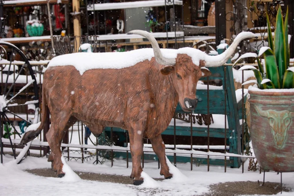 places to visit in December USA