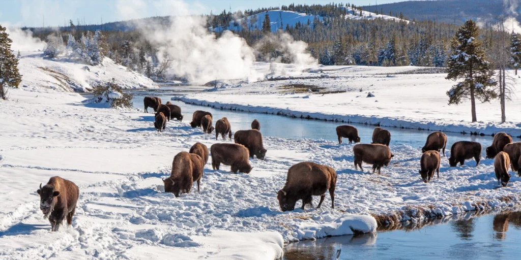 winter vacations in US