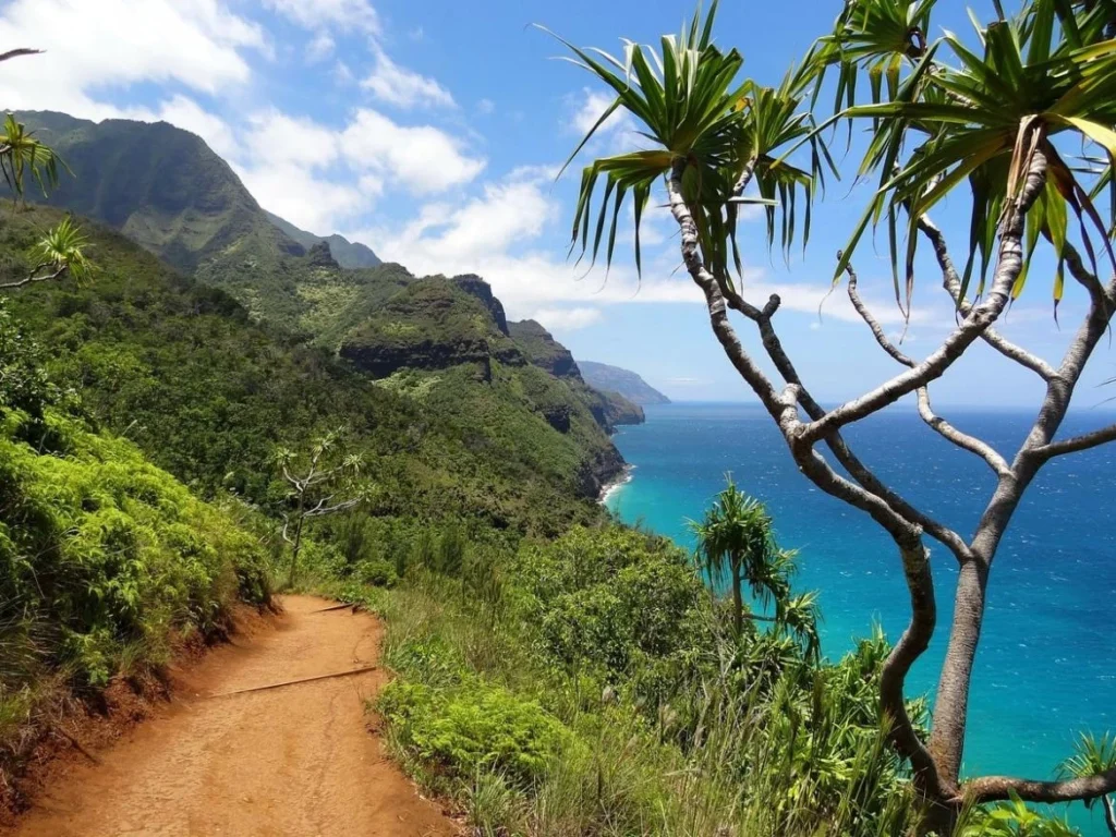warm places to visit in January in USA